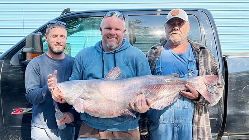 Fisherman catches 61 pound catfish at West Point Lake - LaGrange Daily News