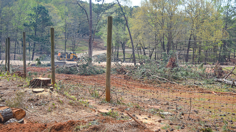 Five animals killed at Wild Animal Safari in Sunday’s tornado, thousands of trees down as cleanup continues – LaGrange Daily News